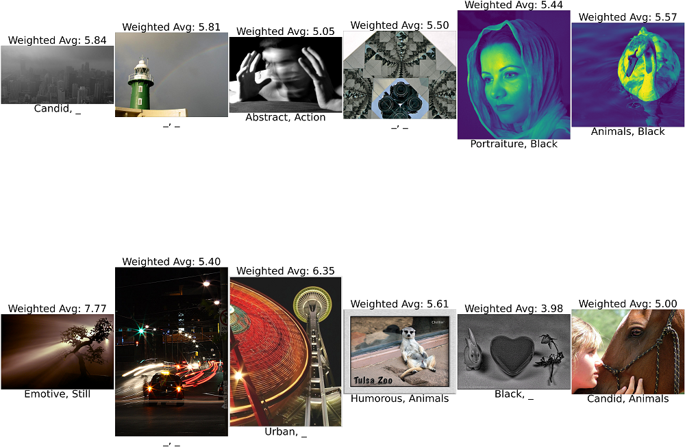 A random sampling of the images in the dataset, showcasing the calculated weighted average, and associated tags, with each image.